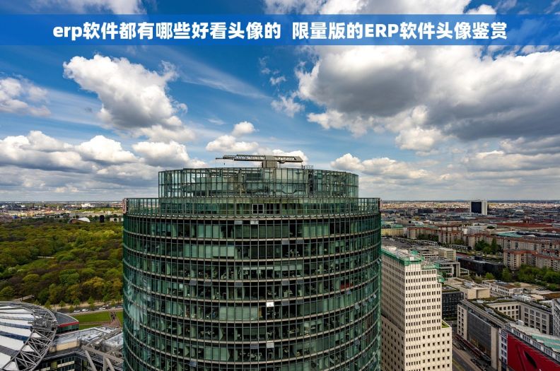 erp软件都有哪些好看头像的  限量版的ERP软件头像鉴赏