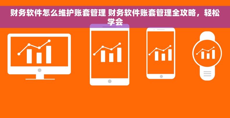 财务软件怎么维护账套管理 财务软件账套管理全攻略，轻松学会