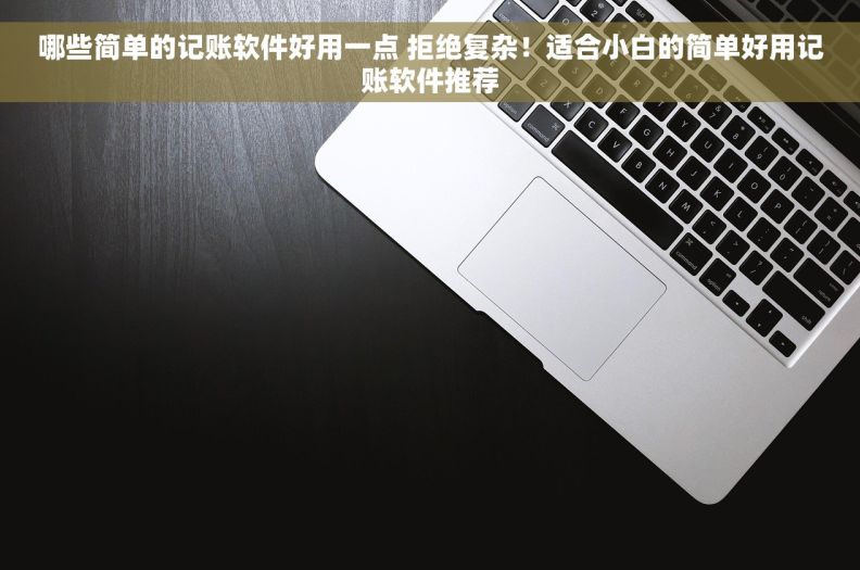 哪些简单的记账软件好用一点 拒绝复杂！适合小白的简单好用记账软件推荐