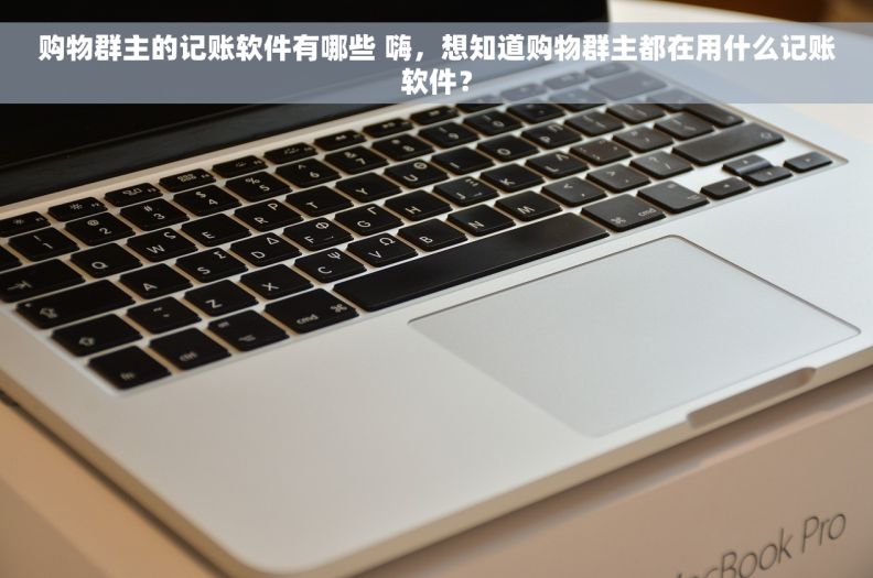 购物群主的记账软件有哪些 嗨，想知道购物群主都在用什么记账软件？