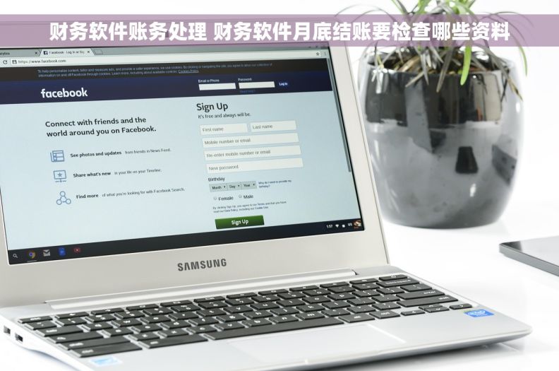 财务软件账务处理 财务软件月底结账要检查哪些资料