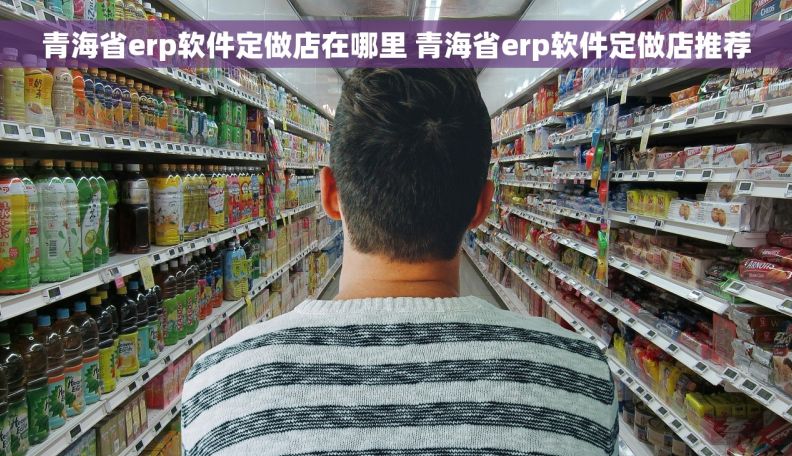 青海省erp软件定做店在哪里 青海省erp软件定做店推荐