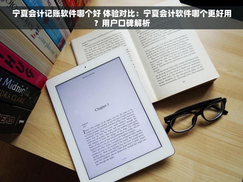 宁夏会计记账软件哪个好 体验对比：宁夏会计软件哪个更好用？用户口碑解析