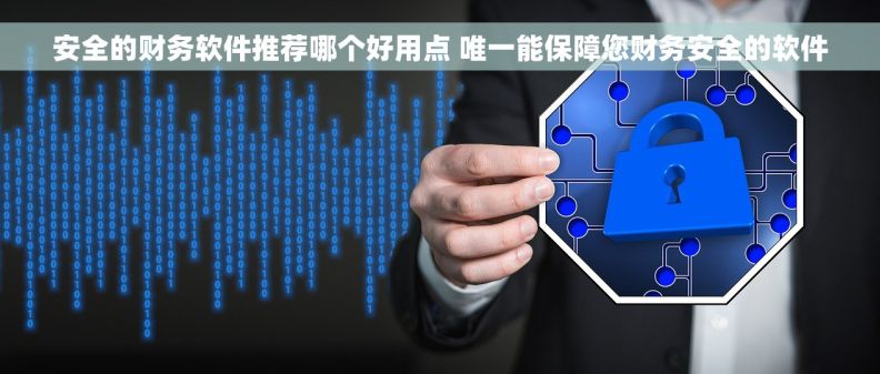 安全的财务软件推荐哪个好用点 唯一能保障您财务安全的软件