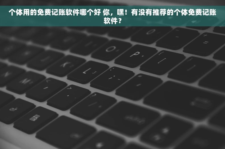 个体用的免费记账软件哪个好 你，嘿！有没有推荐的个体免费记账软件？