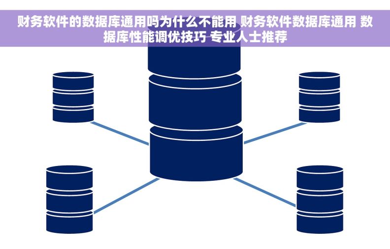 财务软件的数据库通用吗为什么不能用 财务软件数据库通用 数据库性能调优技巧 专业人士推荐