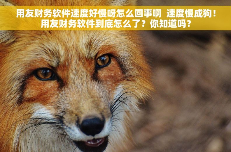 用友财务软件速度好慢呀怎么回事啊  速度慢成狗！用友财务软件到底怎么了？你知道吗？