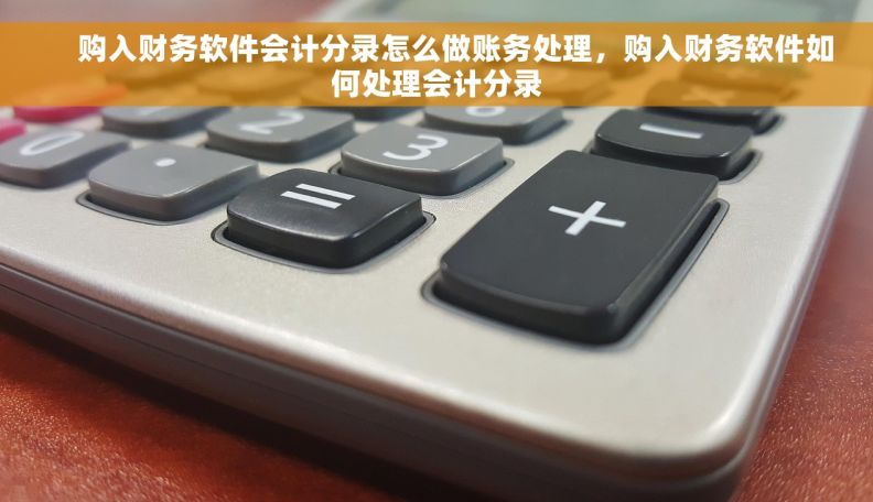      购入财务软件会计分录怎么做账务处理，购入财务软件如何处理会计分录