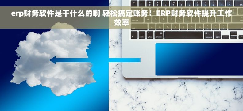 erp财务软件是干什么的啊 轻松搞定账务！ERP财务软件提升工作效率
