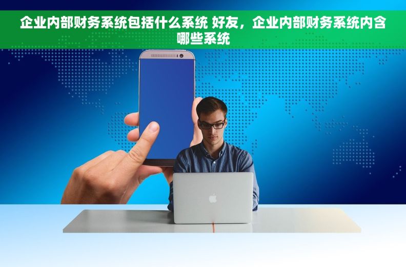 企业内部财务系统包括什么系统 好友，企业内部财务系统内含哪些系统