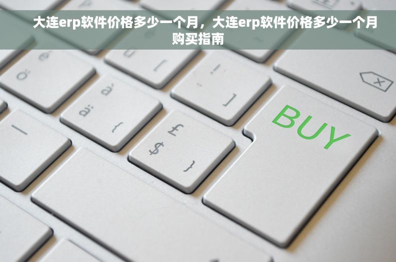     大连erp软件价格多少一个月，大连erp软件价格多少一个月购买指南