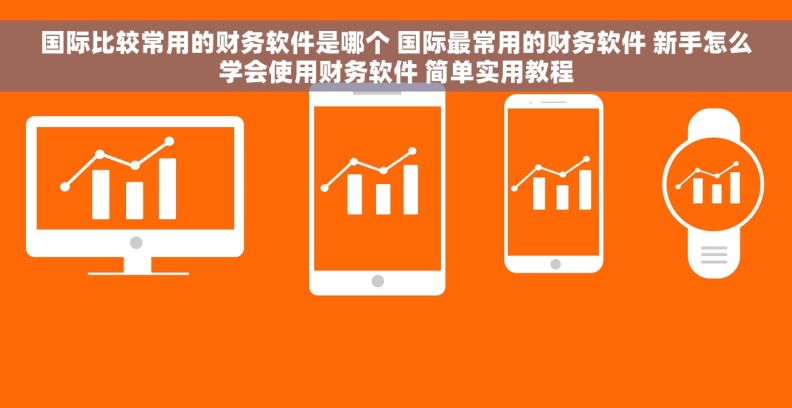 国际比较常用的财务软件是哪个 国际最常用的财务软件 新手怎么学会使用财务软件 简单实用教程