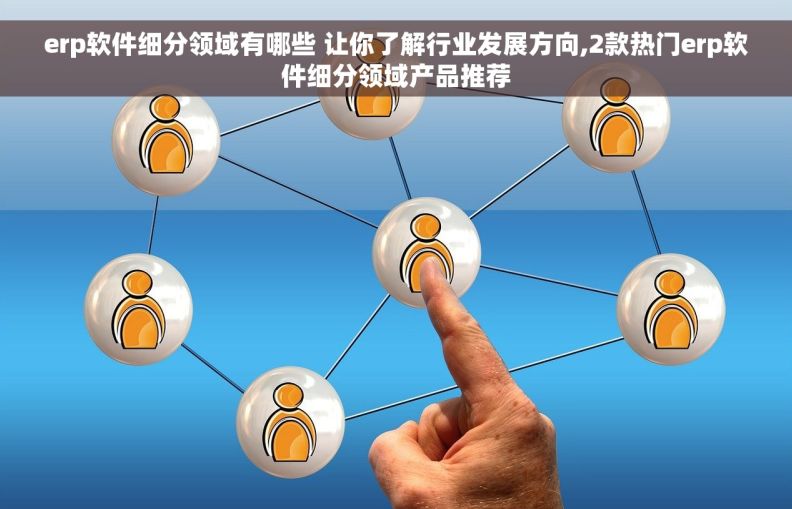 erp软件细分领域有哪些 让你了解行业发展方向,2款热门erp软件细分领域产品推荐