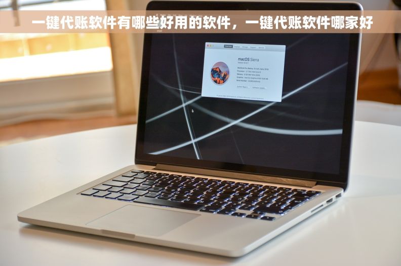  一键代账软件有哪些好用的软件，一键代账软件哪家好