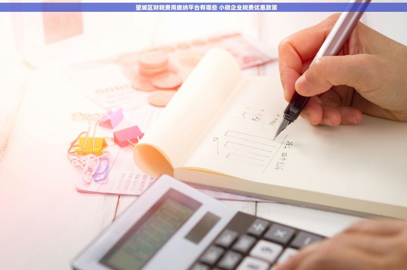     望城区财税费用缴纳平台有哪些 小微企业税费优惠政策