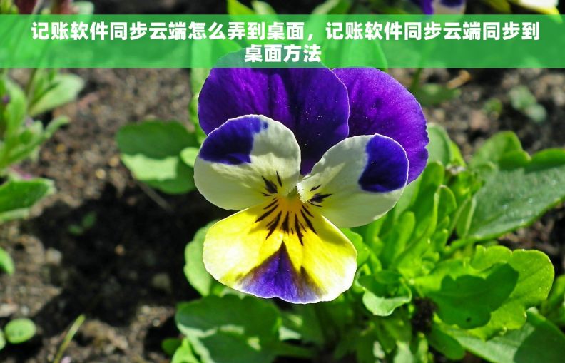  记账软件同步云端怎么弄到桌面，记账软件同步云端同步到桌面方法