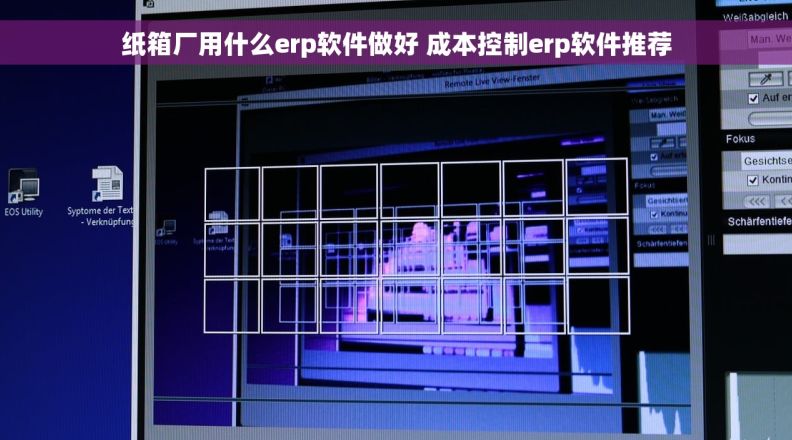 纸箱厂用什么erp软件做好 成本控制erp软件推荐