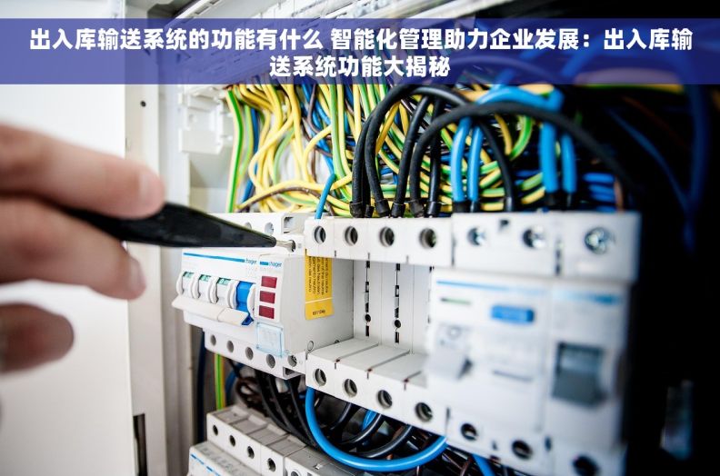 出入库输送系统的功能有什么 智能化管理助力企业发展：出入库输送系统功能大揭秘