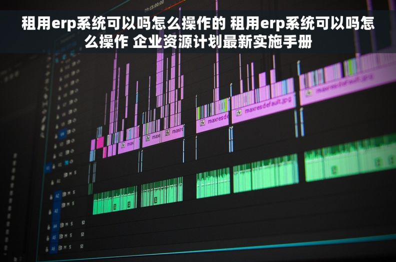 租用erp系统可以吗怎么操作的 租用erp系统可以吗怎么操作 企业资源计划最新实施手册