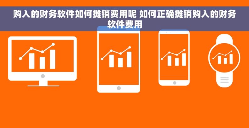 购入的财务软件如何摊销费用呢 如何正确摊销购入的财务软件费用