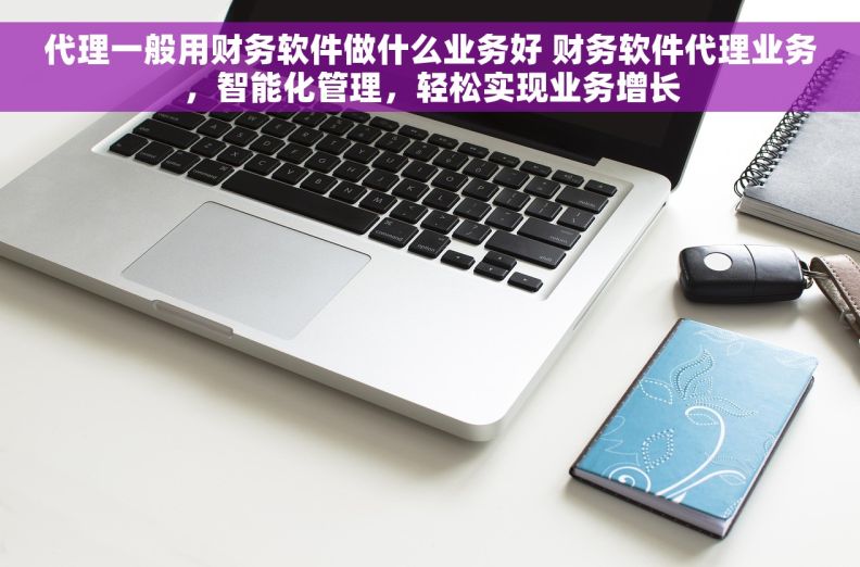 代理一般用财务软件做什么业务好 财务软件代理业务，智能化管理，轻松实现业务增长