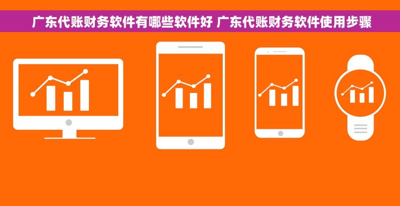  广东代账财务软件有哪些软件好 广东代账财务软件使用步骤