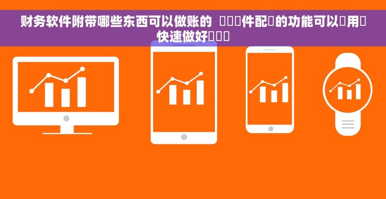 财务软件附带哪些东西可以做账的  財務軟件配備的功能可以讓用戶快速做好帳務嗎