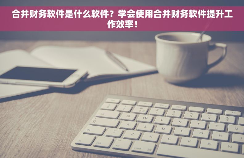 合并财务软件是什么软件？学会使用合并财务软件提升工作效率！