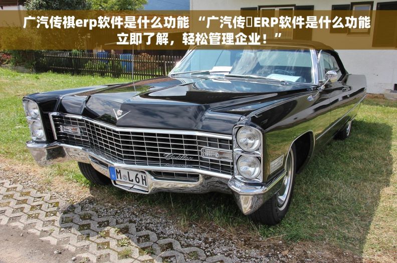 广汽传祺erp软件是什么功能 “广汽传喬ERP软件是什么功能 立即了解，轻松管理企业！”