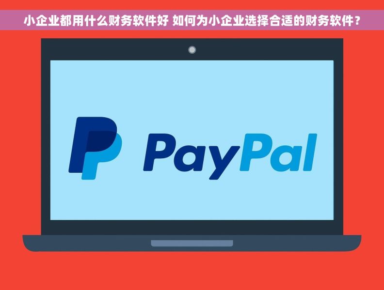 小企业都用什么财务软件好 如何为小企业选择合适的财务软件？