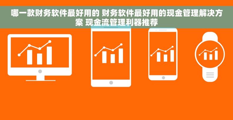 哪一款财务软件最好用的 财务软件最好用的现金管理解决方案 现金流管理利器推荐