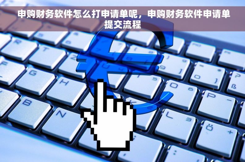 申购财务软件怎么打申请单呢，申购财务软件申请单提交流程