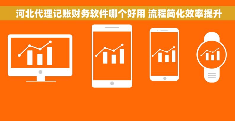  河北代理记账财务软件哪个好用 流程简化效率提升