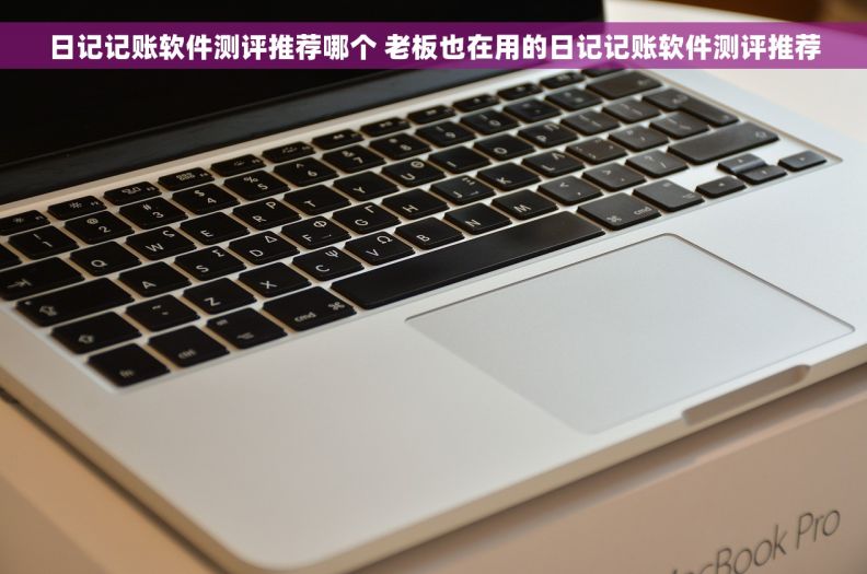 日记记账软件测评推荐哪个 老板也在用的日记记账软件测评推荐