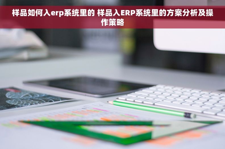 样品如何入erp系统里的 样品入ERP系统里的方案分析及操作策略