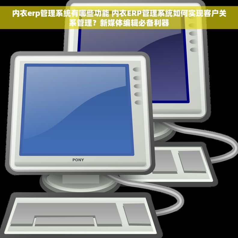 内衣erp管理系统有哪些功能 内衣ERP管理系统如何实现客户关系管理？新媒体编辑必备利器