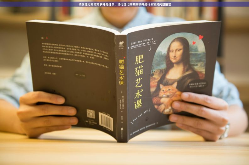  请代理记账做账软件是什么，请代理记账做账软件是什么常见问题解答