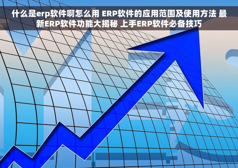什么是erp软件啊怎么用 ERP软件的应用范围及使用方法 最新ERP软件功能大揭秘 上手ERP软件必备技巧