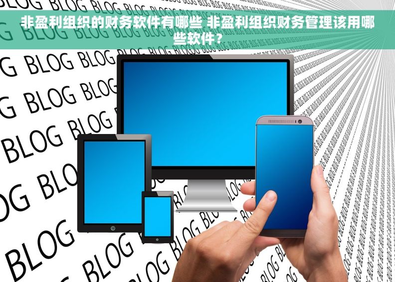 非盈利组织的财务软件有哪些 非盈利组织财务管理该用哪些软件？