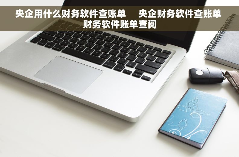 央企用什么财务软件查账单     央企财务软件查账单 财务软件账单查阅