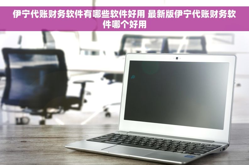伊宁代账财务软件有哪些软件好用 最新版伊宁代账财务软件哪个好用