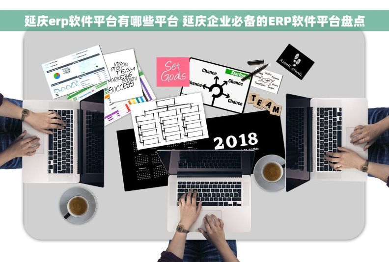 延庆erp软件平台有哪些平台 延庆企业必备的ERP软件平台盘点