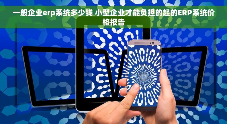 一般企业erp系统多少钱 小型企业才能负担的起的ERP系统价格报告