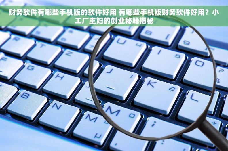 财务软件有哪些手机版的软件好用 有哪些手机版财务软件好用？小工厂主妇的创业秘籍揭秘