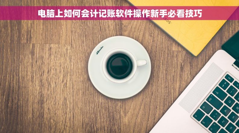电脑上如何会计记账软件操作新手必看技巧