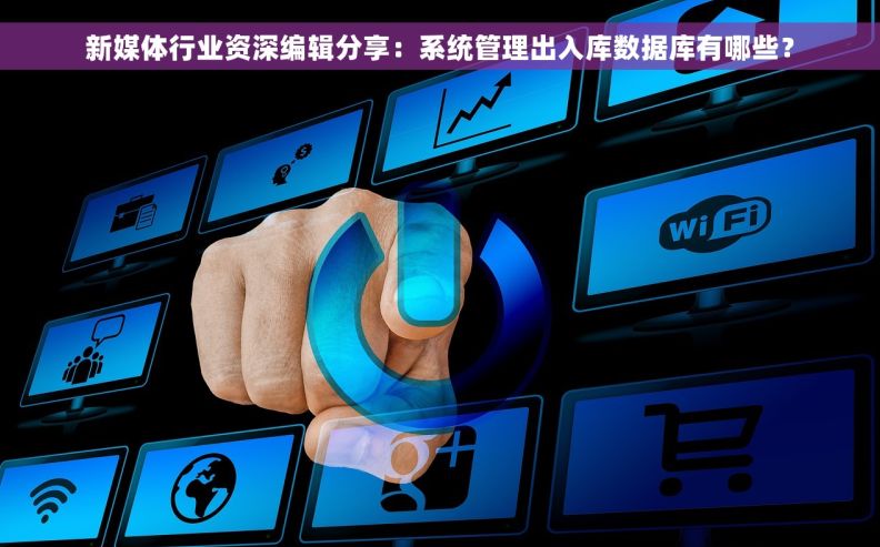 新媒体行业资深编辑分享：系统管理出入库数据库有哪些？
