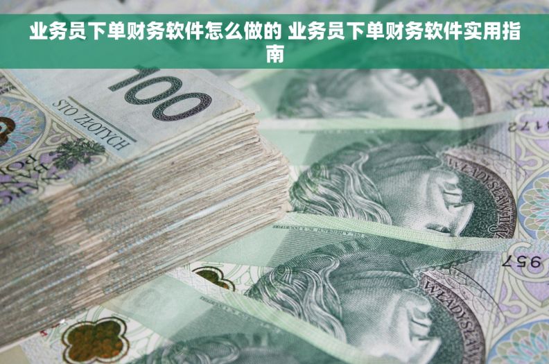 业务员下单财务软件怎么做的 业务员下单财务软件实用指南