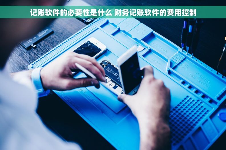记账软件的必要性是什么 财务记账软件的费用控制