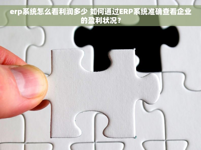 erp系统怎么看利润多少 如何通过ERP系统准确查看企业的盈利状况？