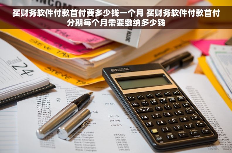 买财务软件付款首付要多少钱一个月 买财务软件付款首付分期每个月需要缴纳多少钱